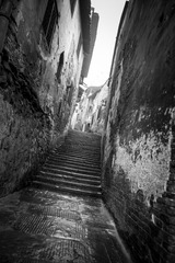 _DSC9858