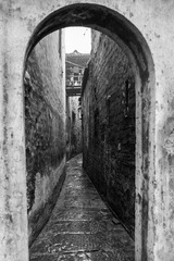 _DSC9864