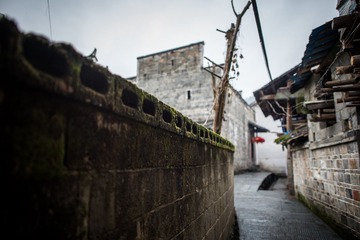_DSC9901