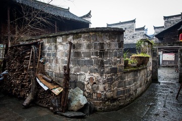 _DSC9909