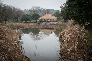 _DSC0059