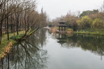 _DSC0065