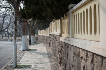 _DSC0106