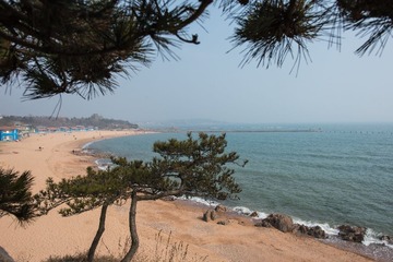 _DSC0114