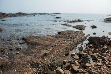 _DSC0093