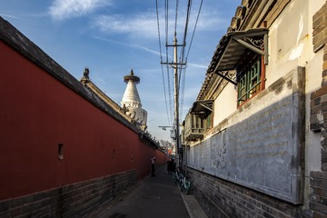 普救寺石狮