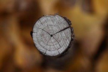 IMG_0028.JPG