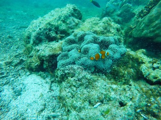GOPR0515