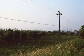 IMG_7762.jpg