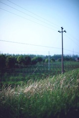 IMG_7763.jpg