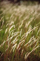 IMG_7871.jpg