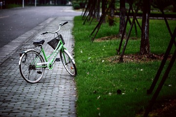 IMG_8319.jpg