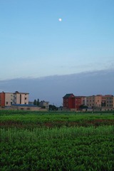 IMG_8628.jpg