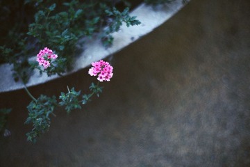 IMG_9064.jpg