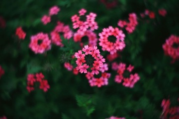IMG_9099.jpg