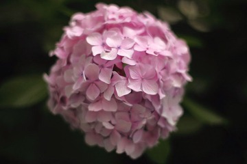 IMG_9280.jpg
