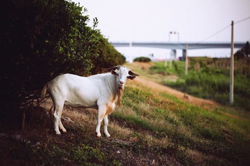 IMG_9877.jpg