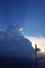 IMG_0017.jpg