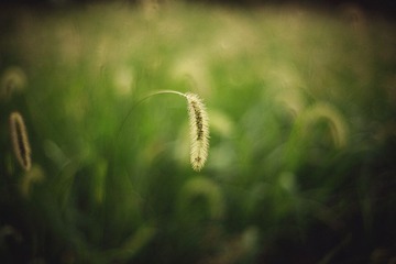 IMG_0092.jpg