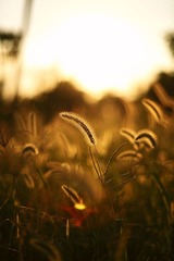 IMG_0144.jpg