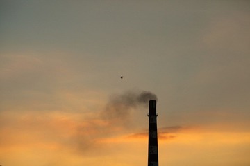 IMG_0208.jpg