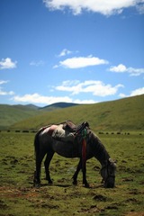 IMG_1062.jpg
