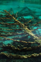IMG_0849.jpg
