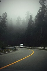 IMG_0554.jpg