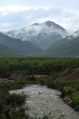 IMG_0549.jpg