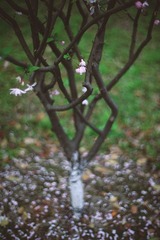 IMG_6519副本.jpg