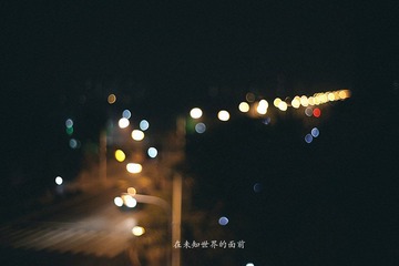 IMG_2905.jpg