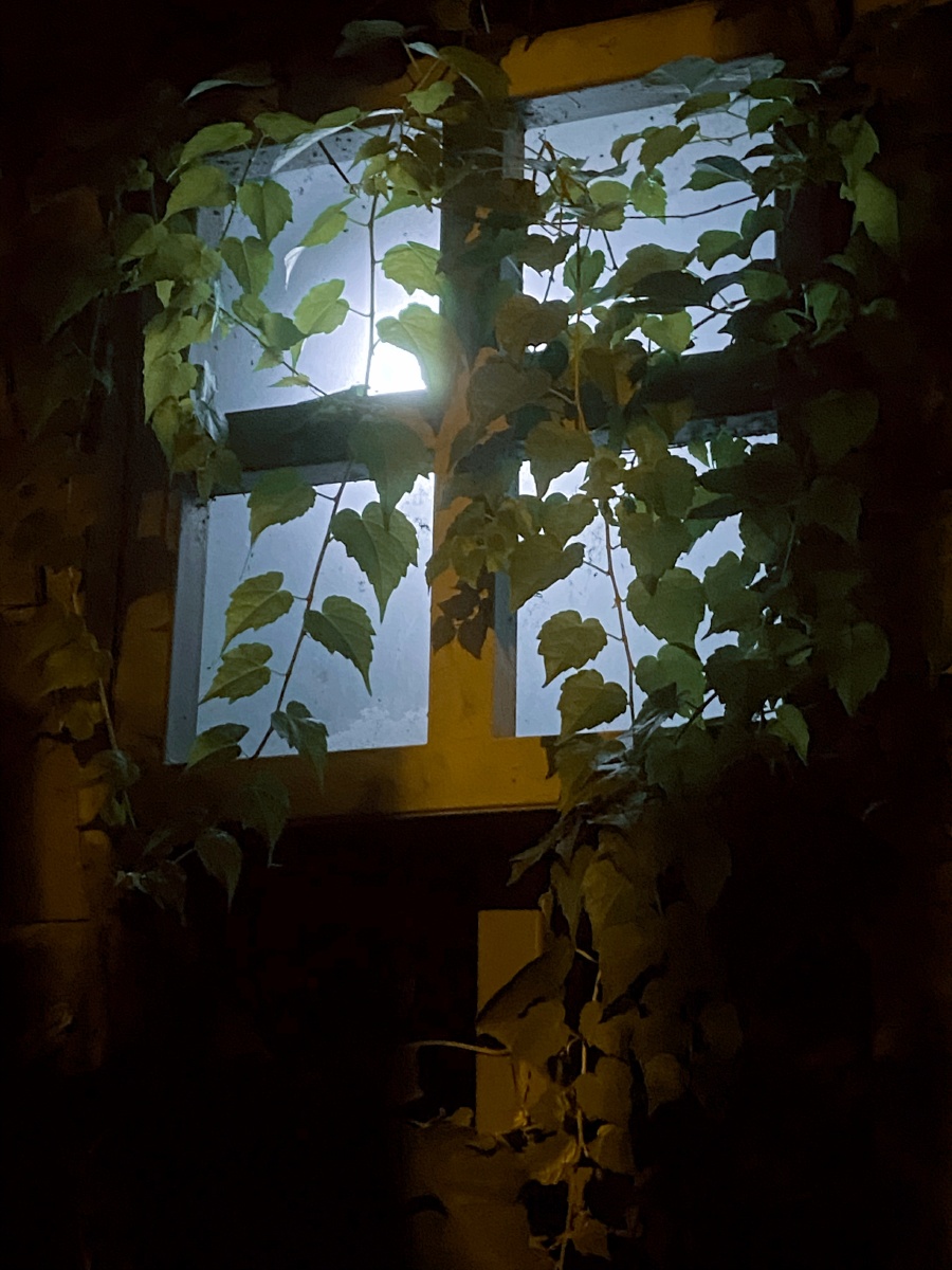 为你留的是哪一盏灯