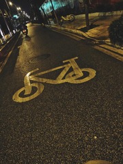 Optional(