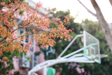 IMG_1853.jpg