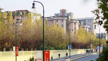 IMG_1769.jpg