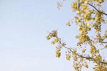 IMG_1321.JPG