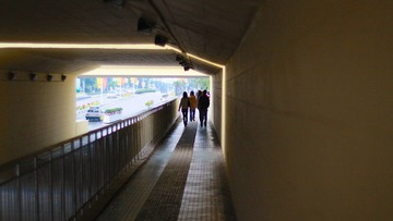 IMG_2389.jpg