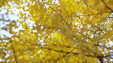 IMG_2406.jpg