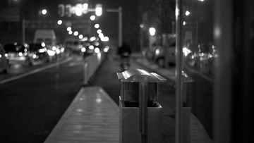 IMG_3952.jpg