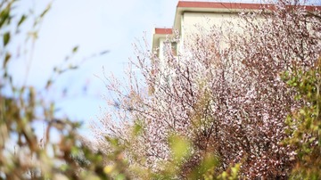 IMG_1263.jpg