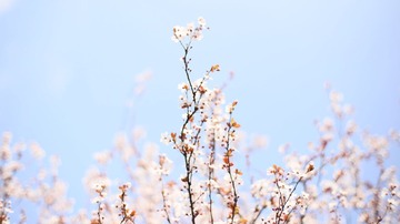 IMG_1282.jpg