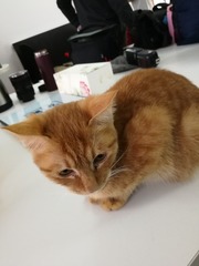 150871