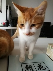 150855