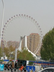 228528