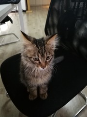 150887