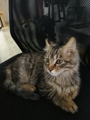 150880