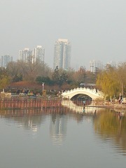 169214