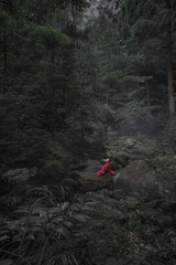 锦鲤－15
