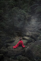 锦鲤－14