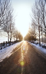 夕阳道路